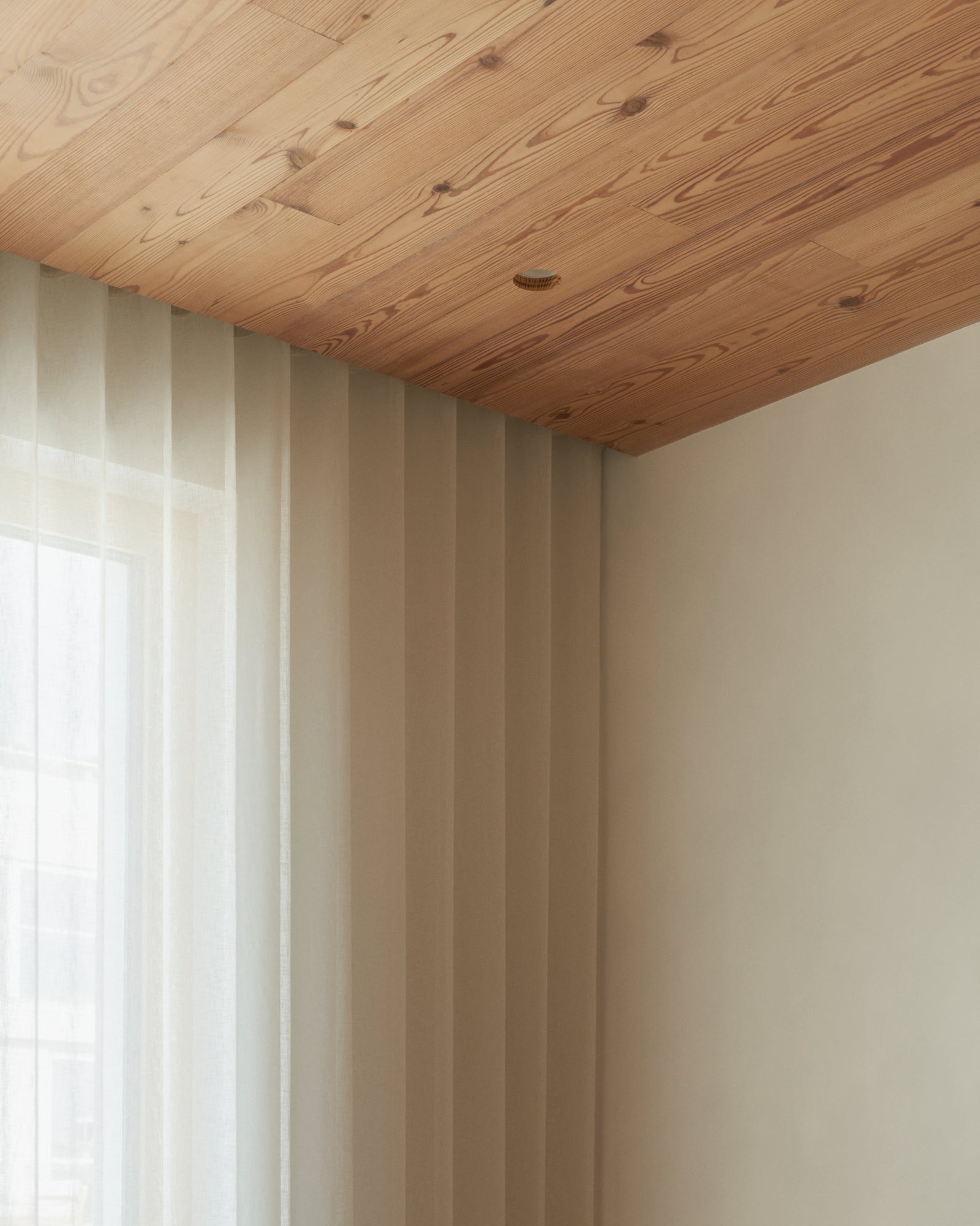 Wood ceiling planes meet painted walls in precise, continuous detailing that demonstrates the architectural clarity of MADERA's seamless system.