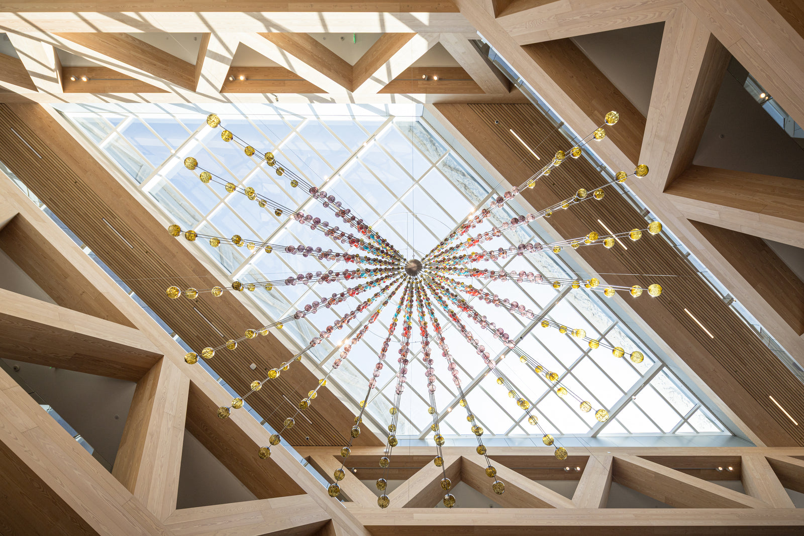 Looking up through the geometric truss system reveals the precision and beauty of large-scale timber construction.